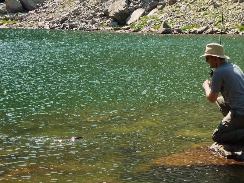 Flyfishing for Golden Trout in the Wind River Range, Wyoming