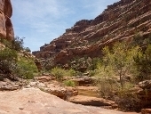 Backpacking_Fish_and_Owl_Creek_Canyons.t