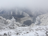 A rare scene from the summit of Mt. LeConte-2.JPG