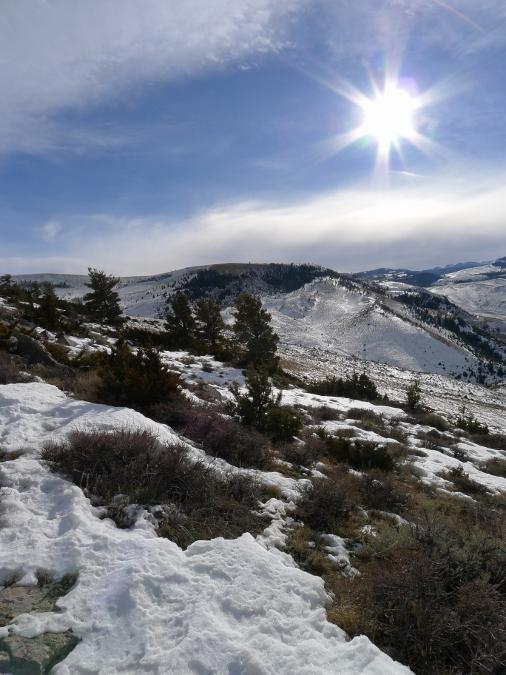 Sagebrush, Snow, and Sun