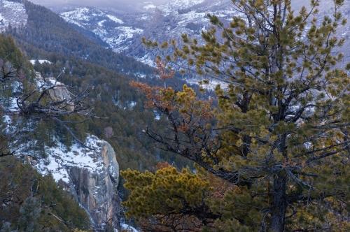 Hiking in Winter