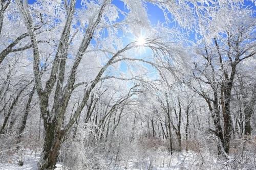 Winter Hiking in Great Smoky Mountains National Park, Tennessee