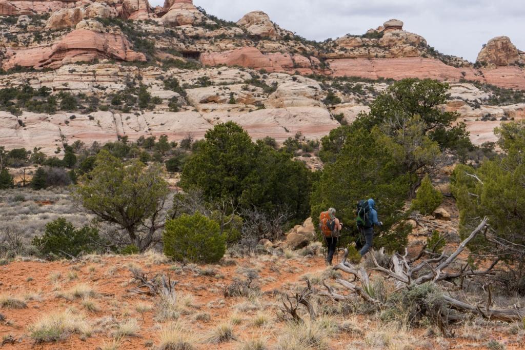 Hiking in Canyonlands National Park - Needles