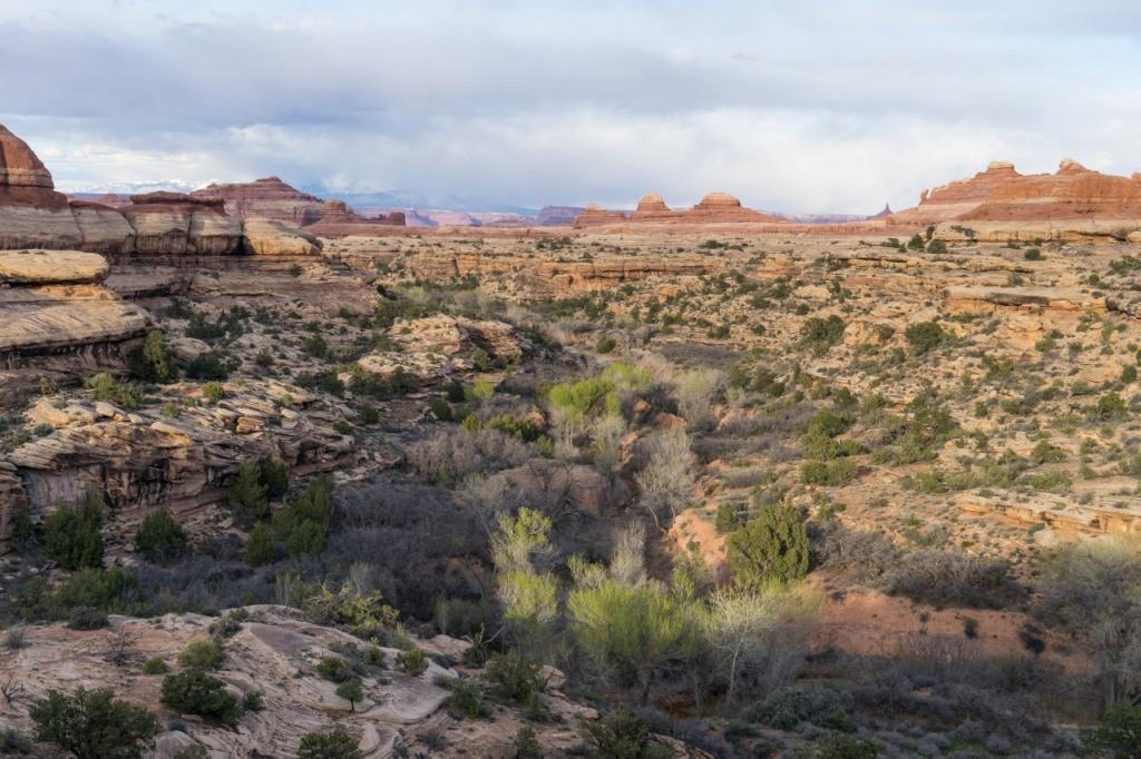 Backpacking Salt Creek, Canyonlands