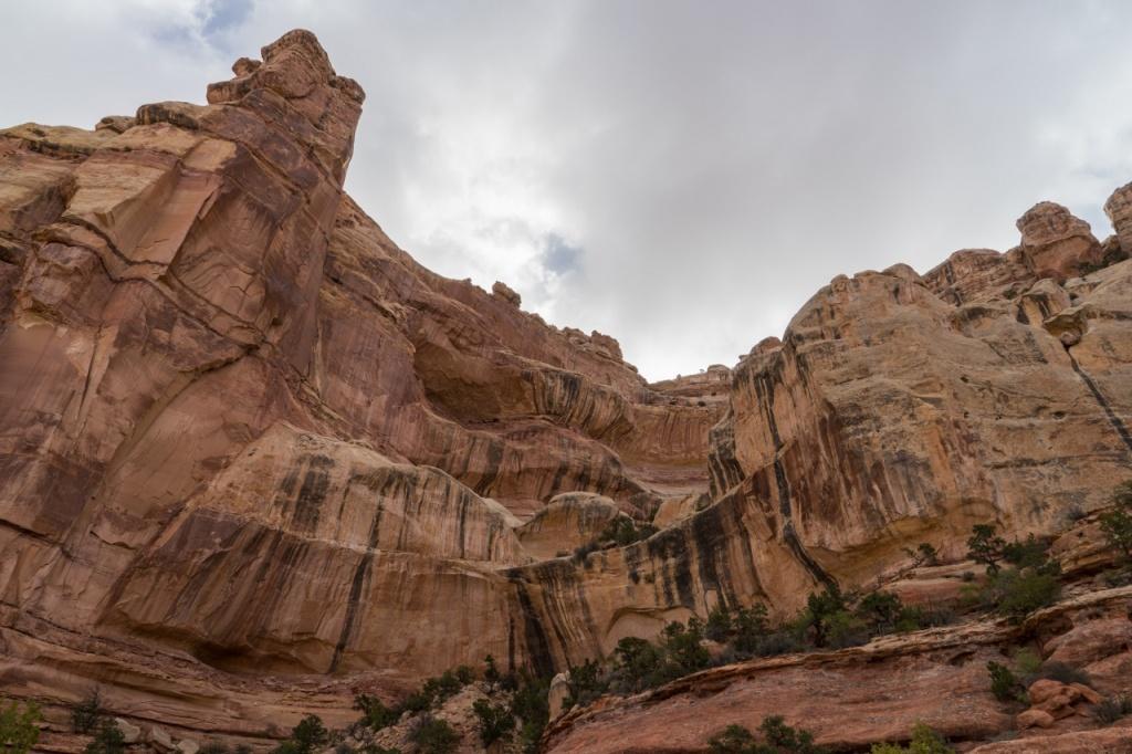 Canyonlands