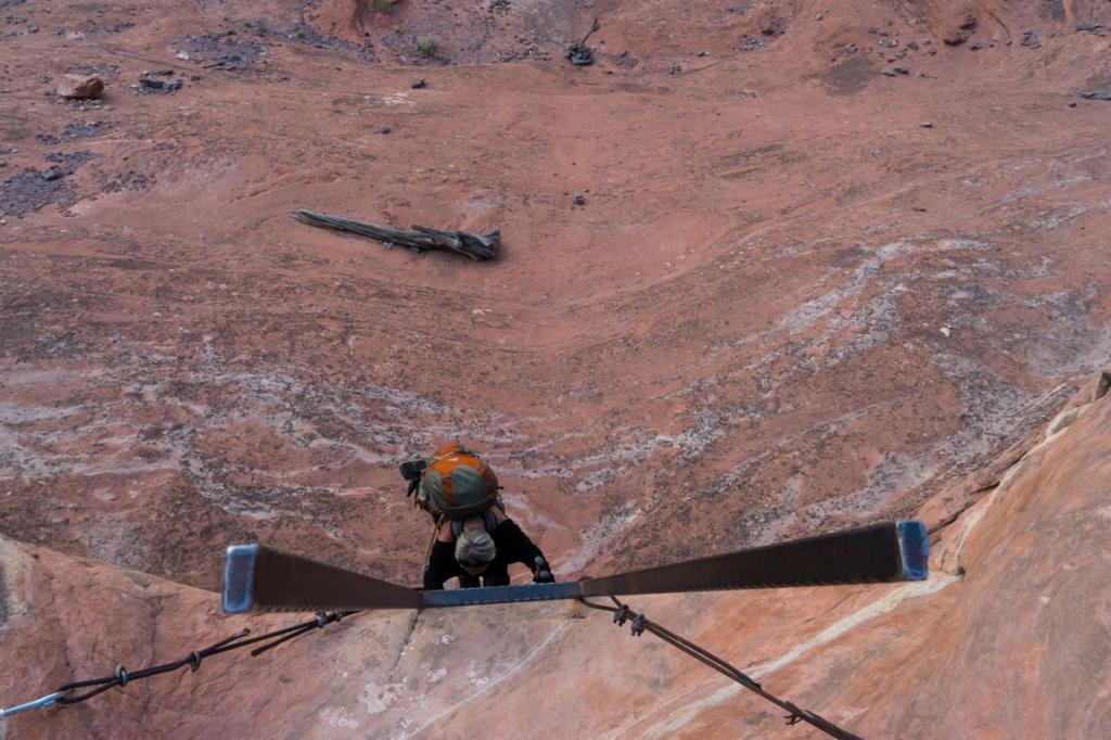 Ladder in the Needles