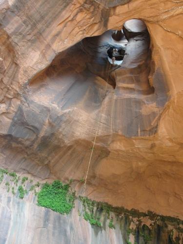 Canyons of the Escalante, Neon Canyon and More
