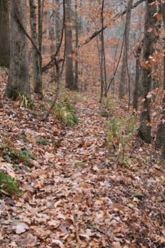 The Psychology of Being Lost While Hiking