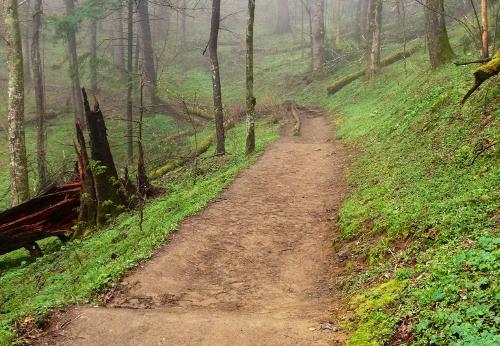 Day Hiking in Great Smoky Mountains National Park