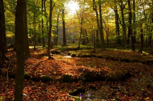 Hiking in the Hudson Highlands of New York