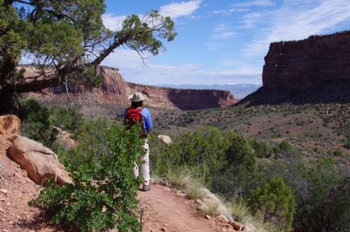 Day Hiking