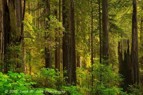 Backpacking and Hiking Photo Tips - Changing Perspective