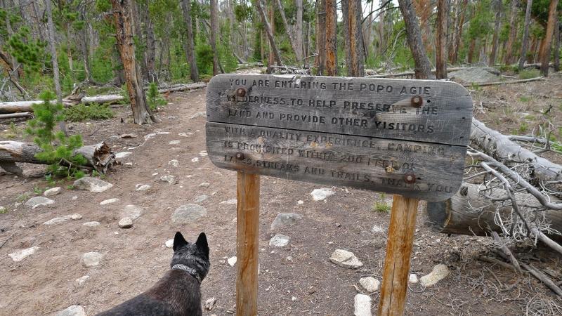 Popo Agie Wilderness, Shoshone National Forest Wyoming