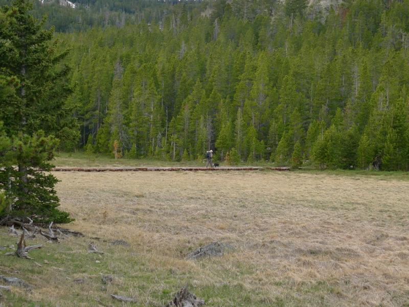 Stough Creek Trail