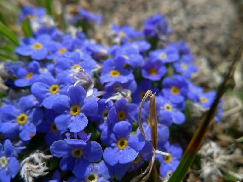 Spring Hiking Scenery