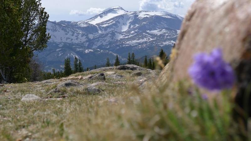 Wind River Peak