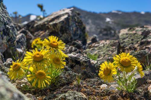 Offtrail and Earlly Spring Hiking - Wind River Range