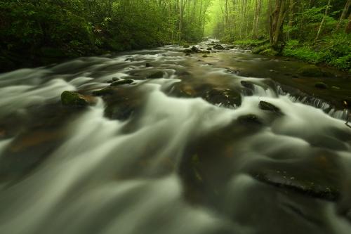 Hiking the Tremont Trail Loop in Great Smoky Mountains National Par