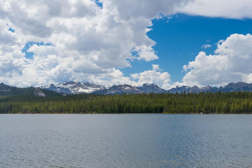 Shoshone National Forest