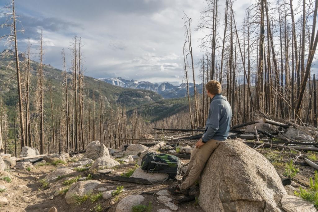 Burn Area - Towards Wind River Peak