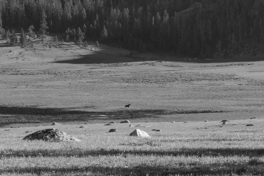 In the Wind River Range