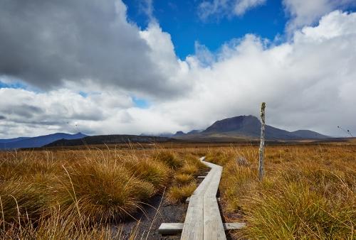 Backpacking the Overland Track in Tasmania