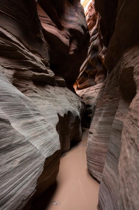 Another Pool in the Canyon