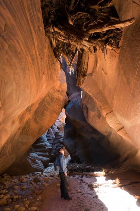 Flood Debris in Buckskin Gulch