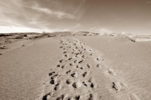 Hiking and Backpacking the Colorado Plateau