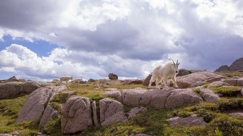 Hiking and Backpacking Acclimatization and Altitude Sickness