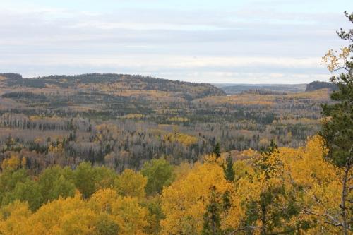 Hiking Along the Border Route Trail