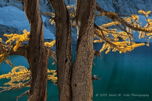 Photographing the Details - Hiking Photo Tip