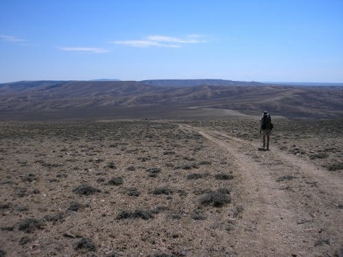 The Sagebrush Sea