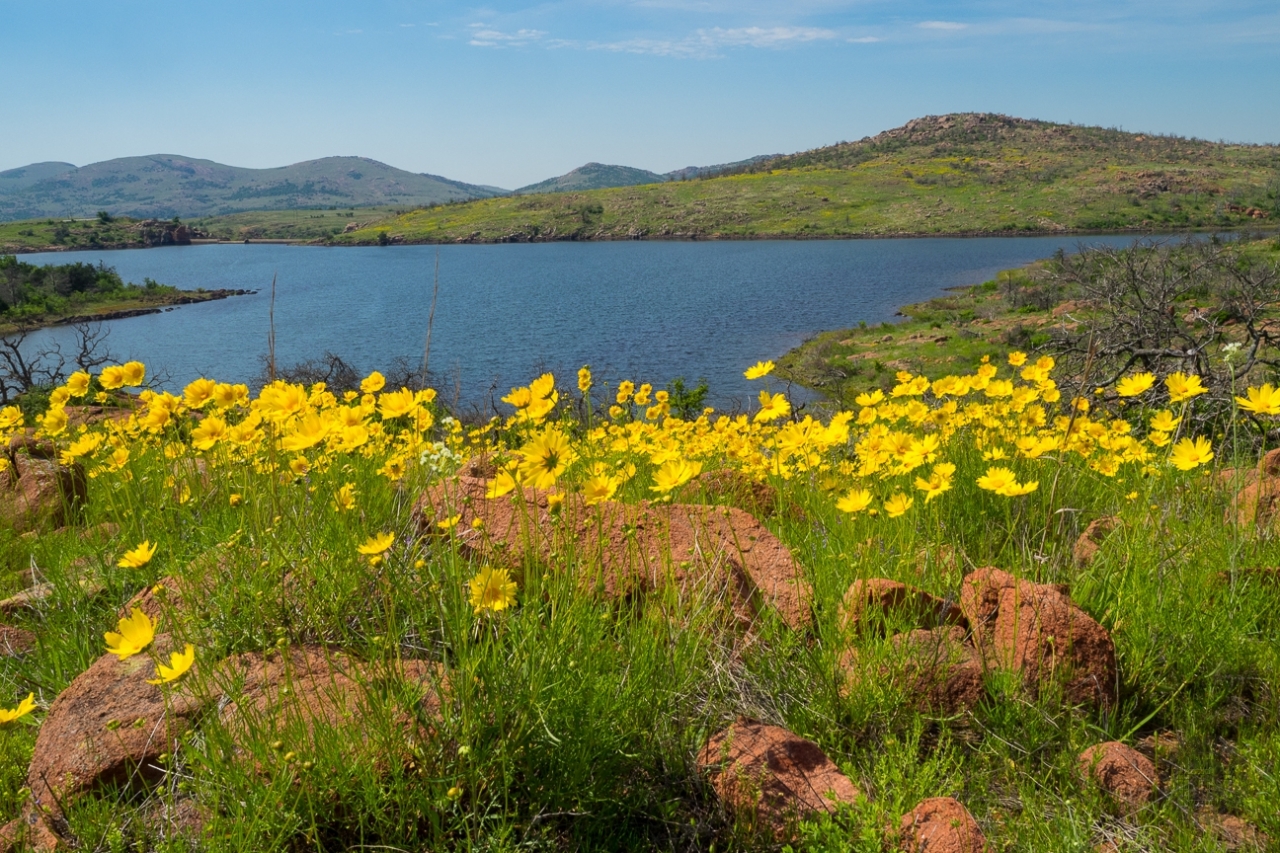 wichitamtns_wildflowers_above_rush_lake.jpg