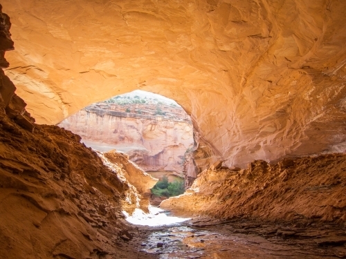 Backpacking in McInnis Canyon