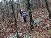 Section_Hiking_the__Ouachita_Trail.thumb