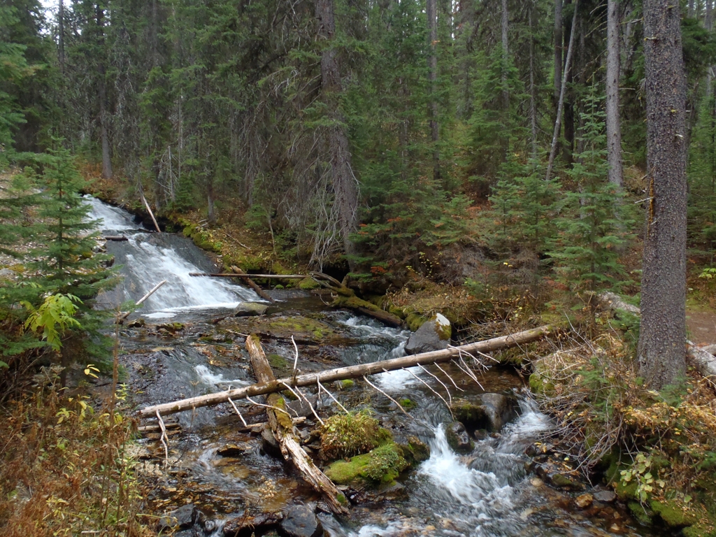 Falls Fork Trail Waterfall