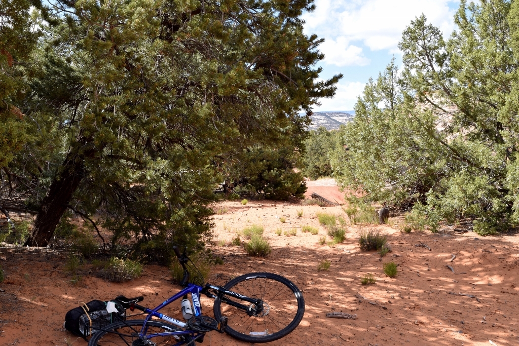 BLM Land Along the Burr Trail Road