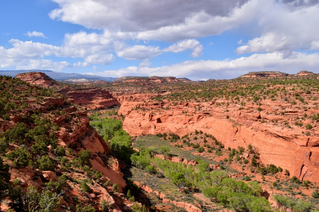 Near Grand Staircase-Escalante Monument, Utah