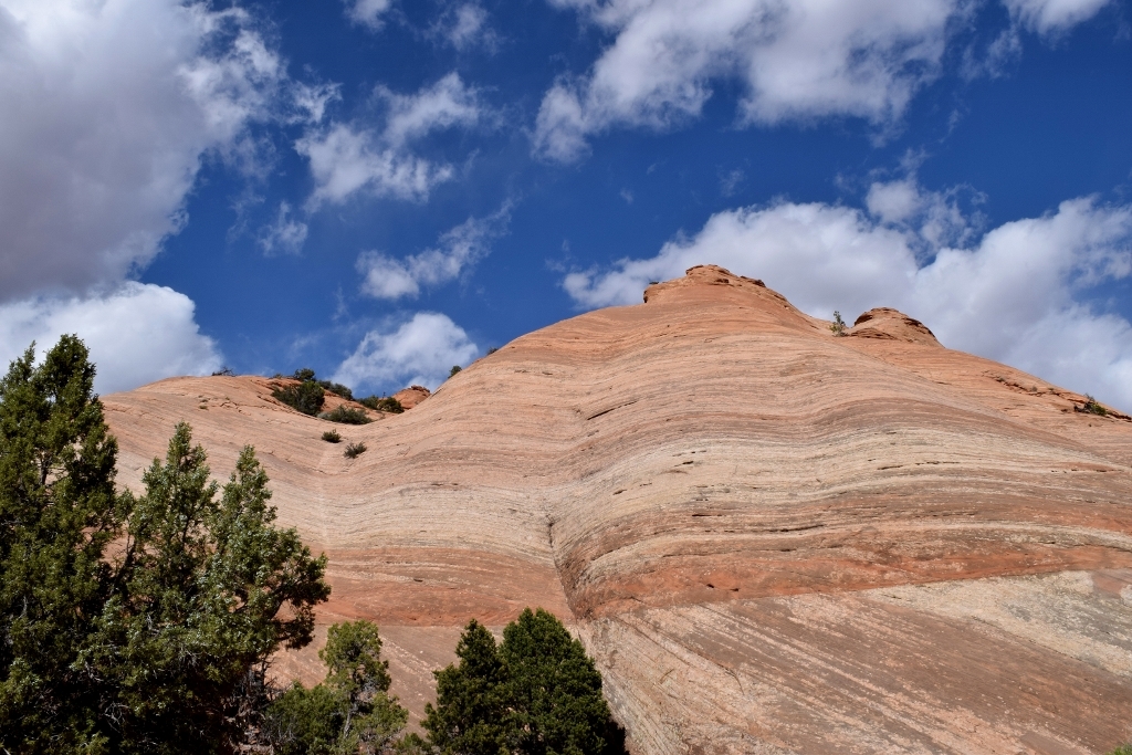 White Utah Sandstone