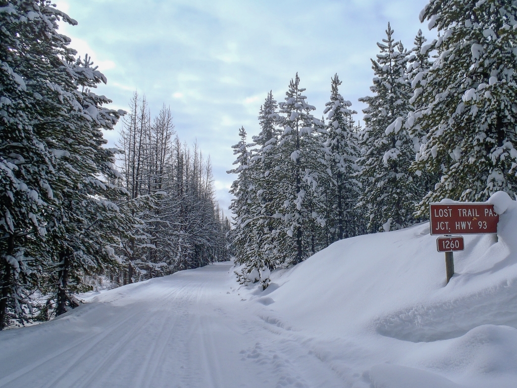 Groomed Forest Road in Beaverhead-Deerlodge National Forest