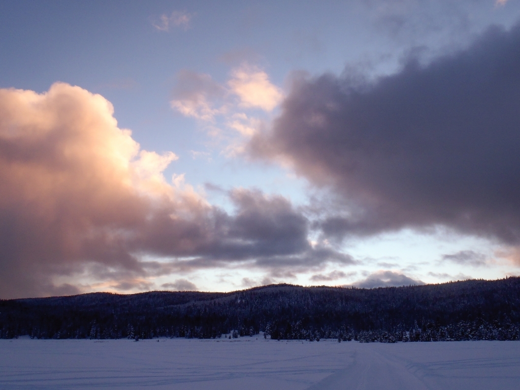 Skiing to Hogan Cabin