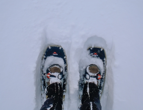 Lightning Explore Snowshoes - Mountain Safety Research