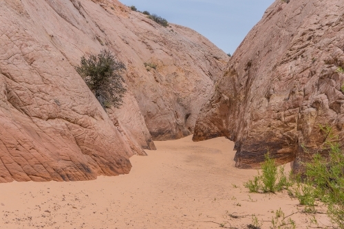 Zebra Slot in the Escalante Utah