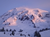 Mount Rainier.jpg