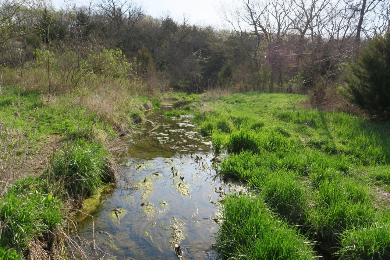 Kill Creek April 023.JPG