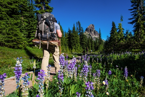 Backpacking in the Alpine Lakes Wilderness