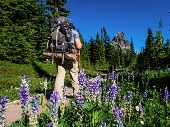 Backpacking in the Washington Cascades.jpg