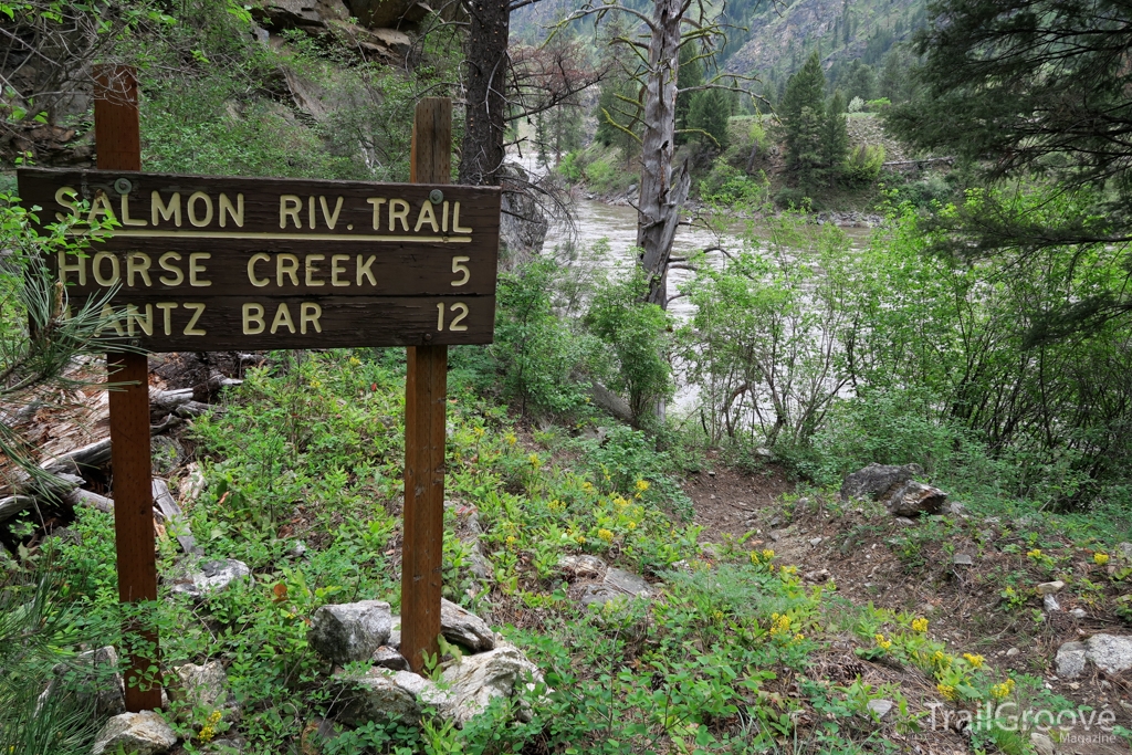 Salmon River Trail - FCRNR Wilderness