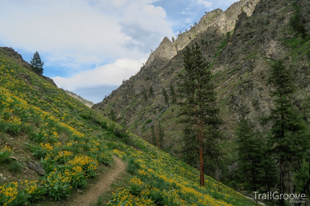 Backpacking in the Frank Church-River of No Return Wilderness